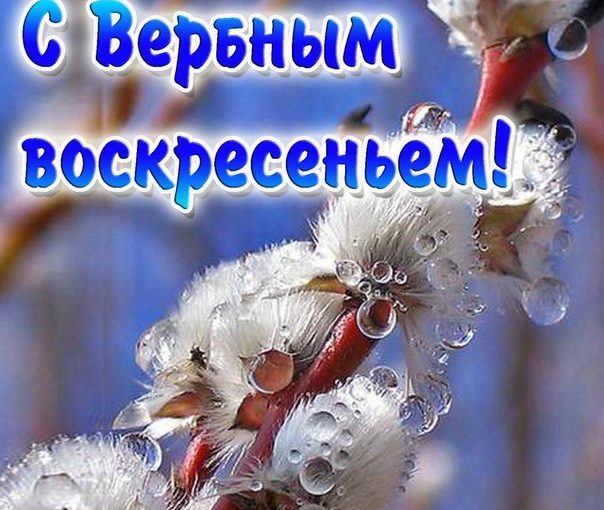 РОО “БОРОДИНО” поздравляет всех православных с вербным воскресеньем 12 апреля 2020 года!