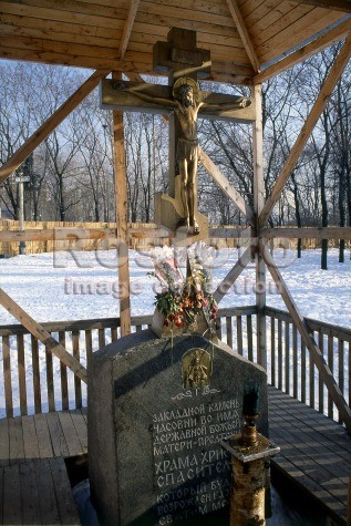сень